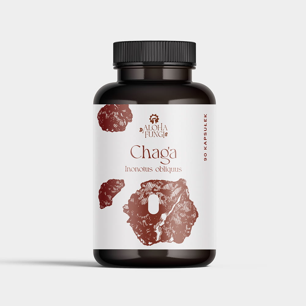 Chaga w kapsułkach – odporność – ekstrakt 10:1 – 90 kapsułek