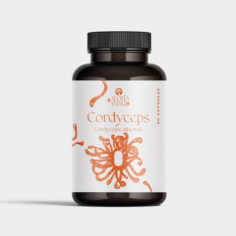 Cordyceps w kapsułkach – energia – ekstrakt 10:1 – 90 kapsułek