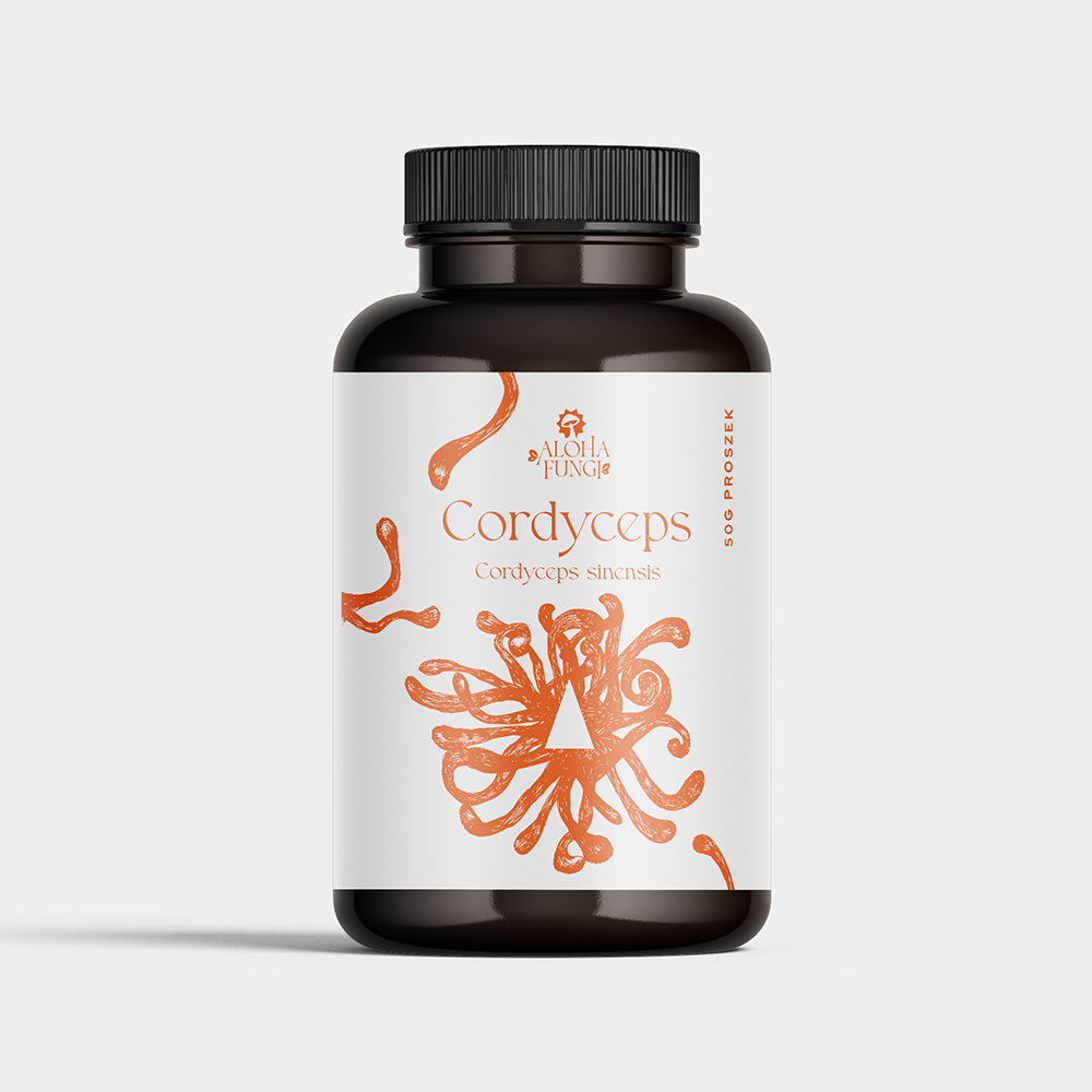 Cordyceps w proszku – energia – ekstrakt 10:1 – 50 gramów