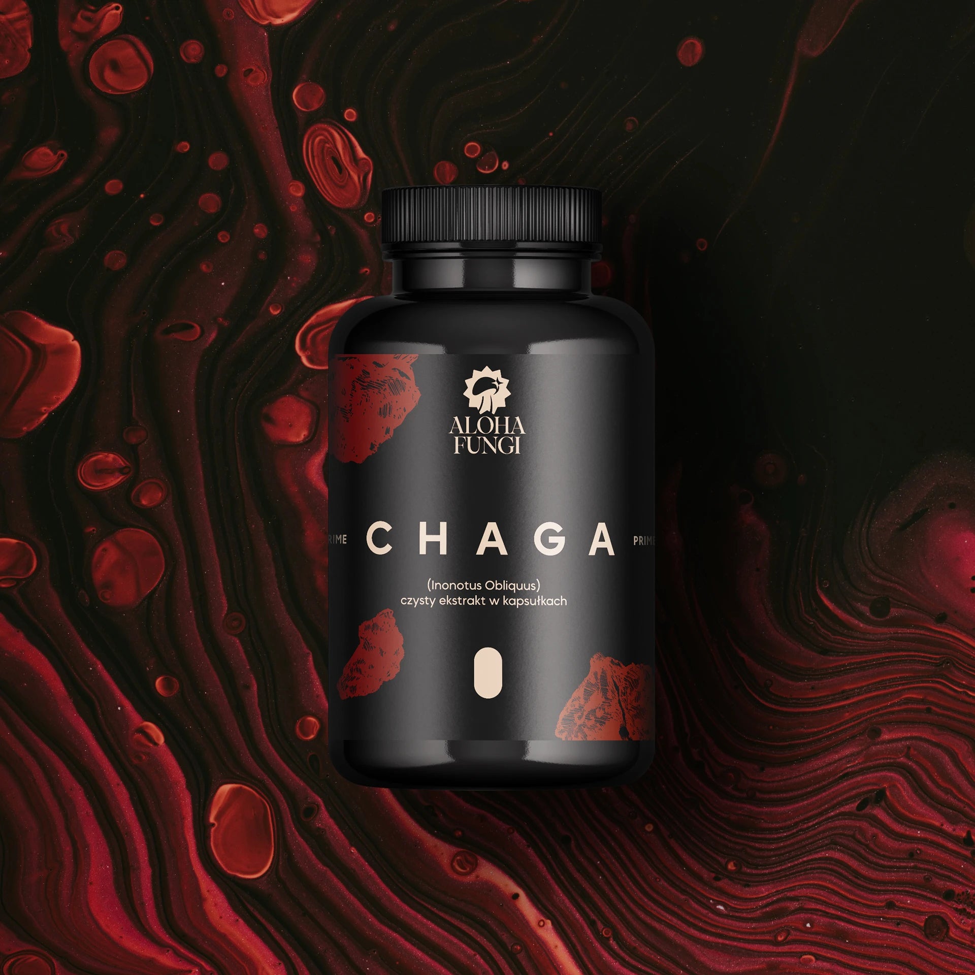 Chaga PRIME w kapsułkach – odporność – ekstrakt 10:1 – 90 kapsułek