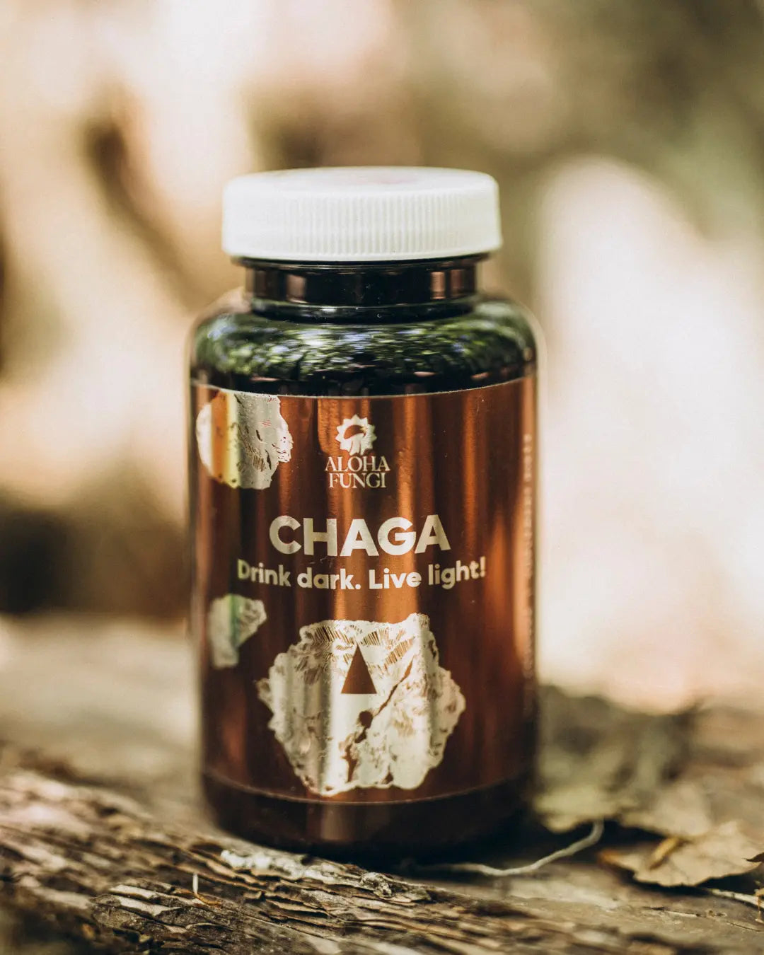 Chaga w proszku – LONGEVITY – ekstrakt 10:1 – 100 gramów – LIMITED