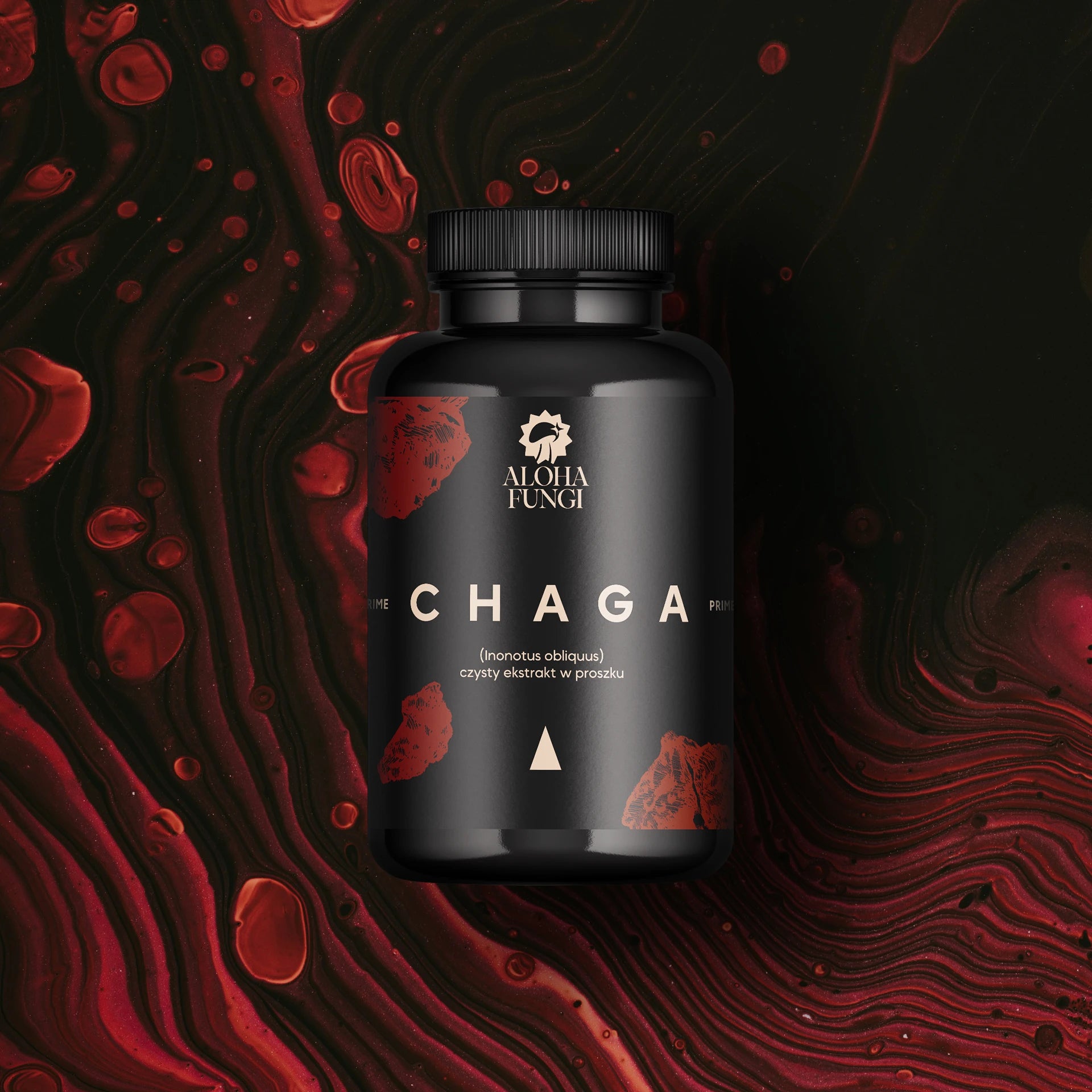 Chaga PRIME w proszku – odporność – ekstrakt 10:1 – 50 gramów